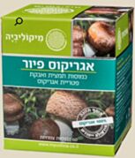 אגריקוס פיור Agaricus Blazei | Mycolivia מיקוליביה