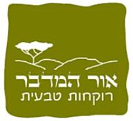 שמן אתרי אקליפטוס רדיאטה | אור המדבר